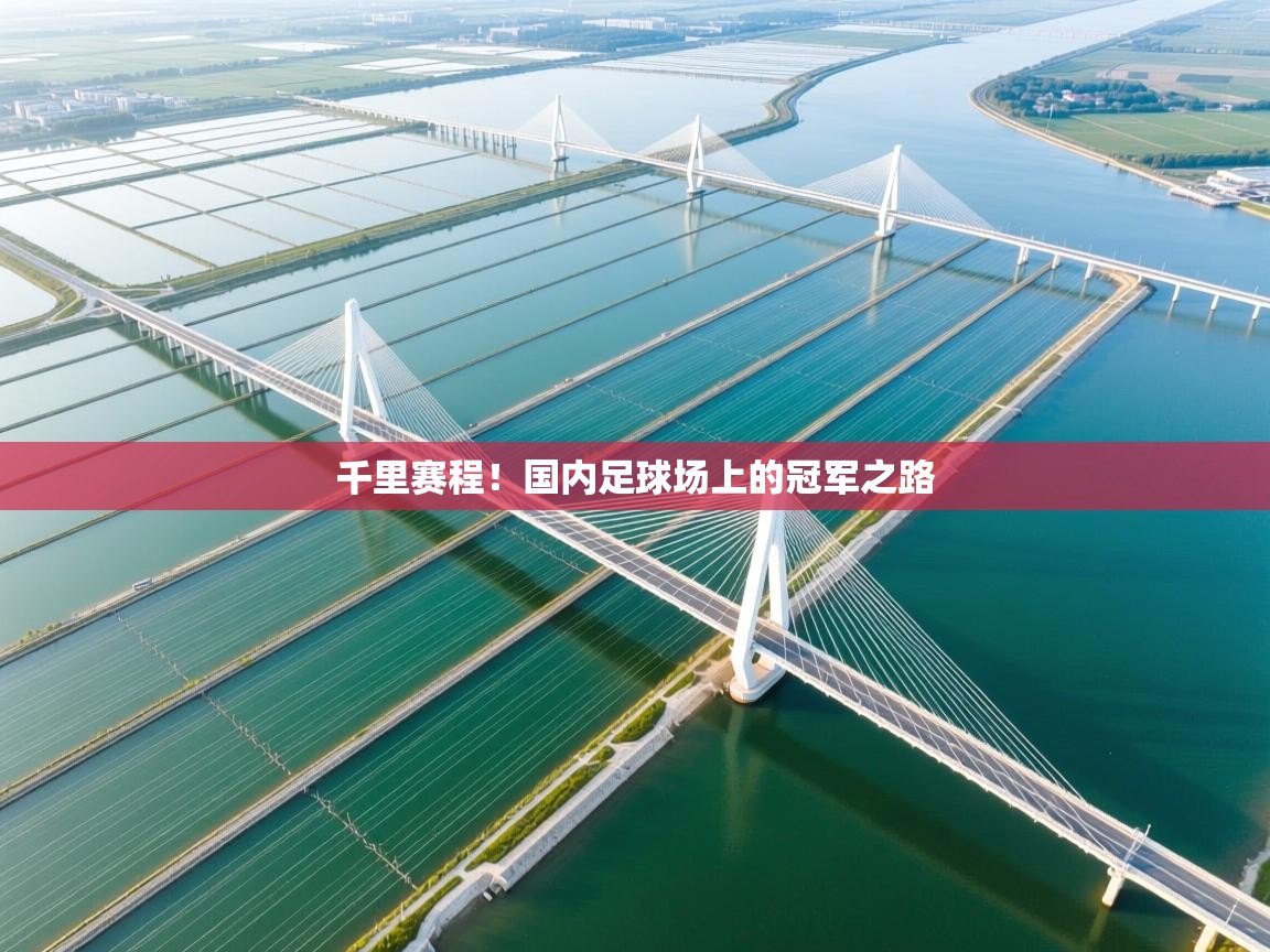 千里赛程！国内足球场上的冠军之路  第2张