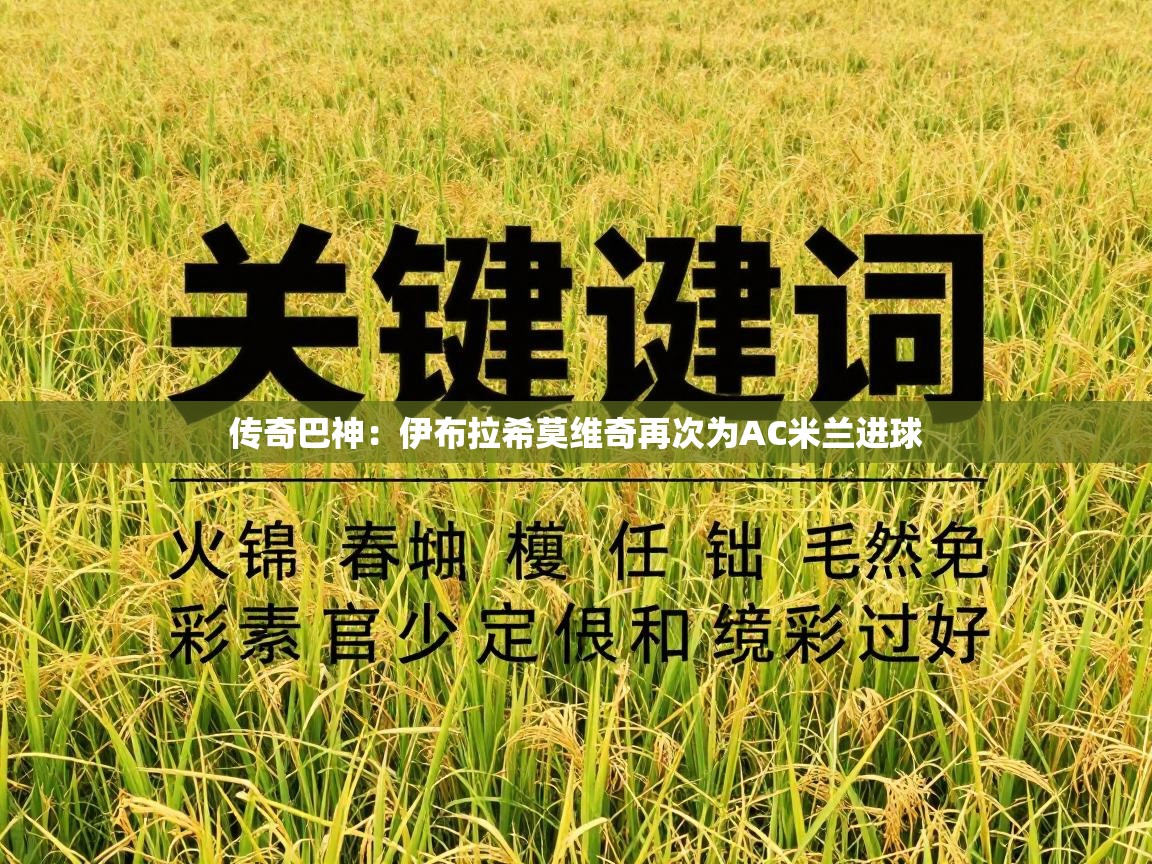 传奇巴神：伊布拉希莫维奇再次为AC米兰进球  第2张