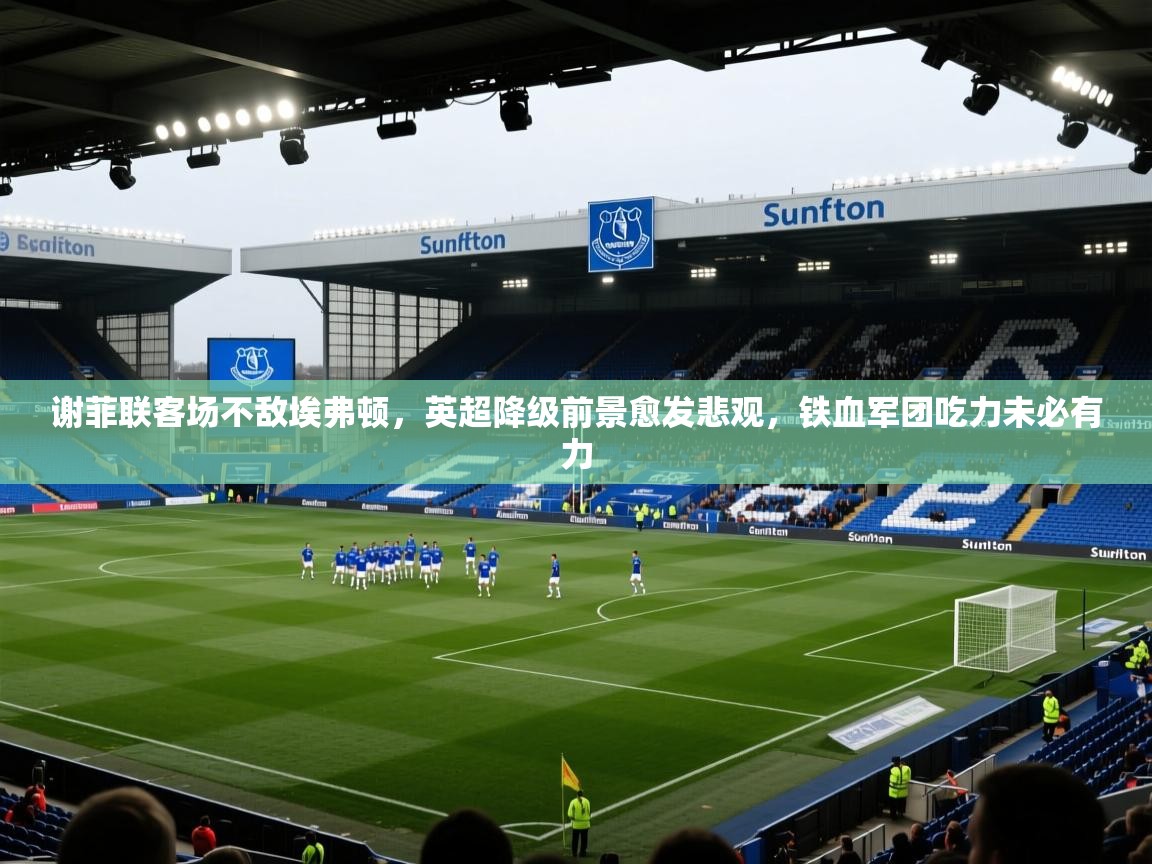 谢菲联客场不敌埃弗顿，英超降级前景愈发悲观，铁血军团吃力未必有力  第2张