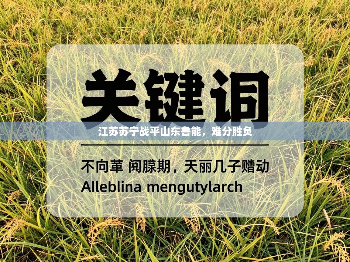 江苏苏宁战平山东鲁能,难分胜负 第2张