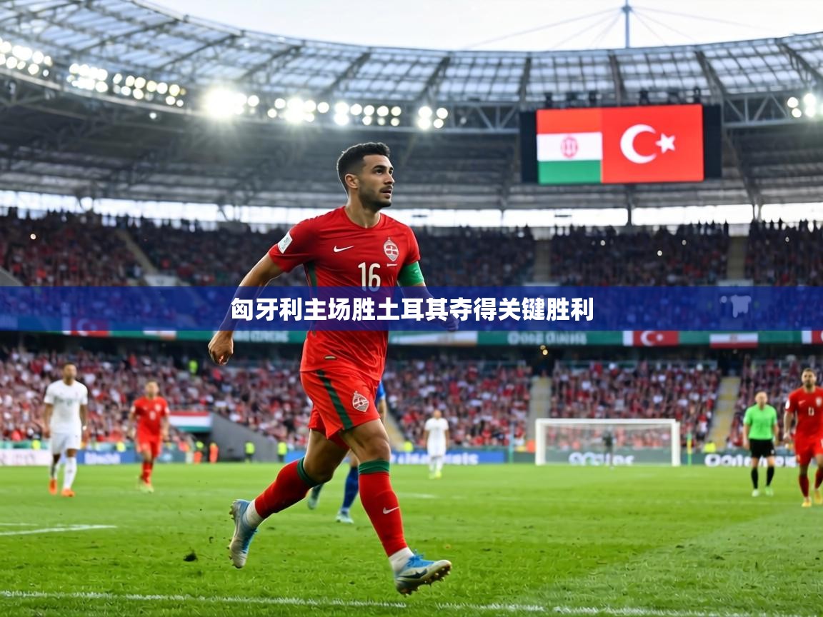 匈牙利主场胜土耳其夺得关键胜利